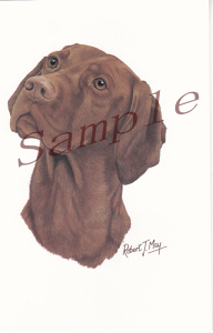 ݌Ɍ@O[eBOJ[hyrYzAG݁@G݁@ObY