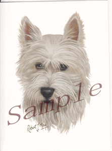 �݌Ɍ���@�O���[�e�B���O�J�[�h�y�E�G�X�g�E�n�C�����h�E�z���C�g�E�e���A�z�A���G�݁@���G�݁@���O�b�Y