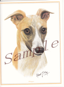 ݌Ɍ@O[eBOJ[hyEBybgzAG݁@G݁@ObY