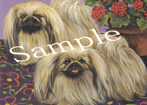 ݌Ɍ@O[eBOJ[hyyLj[YzAG݁@G݁@ObY