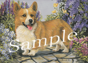 ݌Ɍ@O[eBOJ[hyR[M[zAG݁@G݁@ObY