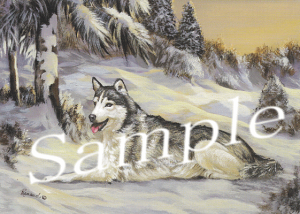 ݌Ɍ@O[eBOJ[hyVxAEnXL[zAG݁@G݁@ObY