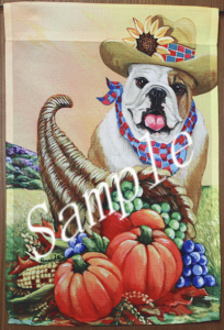 ݌Ɍ@K[ftbOyuhbOzAG݁@G݁@ObY