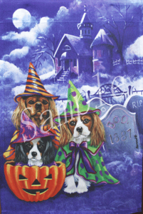 ݌Ɍ@K[ftbOynEB@LoAzAG݁@G݁@ObY