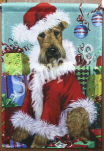 ݌Ɍ@K[ftbOyGAf[eA SantazAG݁@G݁@ObY