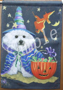 ݌Ɍ@K[ftbOyrVEt[[@Boo HoozAG݁@G݁@ObY