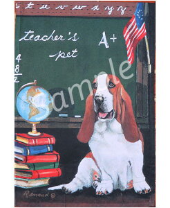 ݌Ɍ@K[ftbOyoZbgEnEhTeacher's Pet zAG݁@G݁@ObY