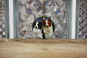 �݌Ɍ���@�y�{�[�_�[�E�R���[Border Patrol�z�Z���~�b�N�I�[�i�����g�A���G�݁E���O�b�Y�E���G�݁E�N���X�}�X