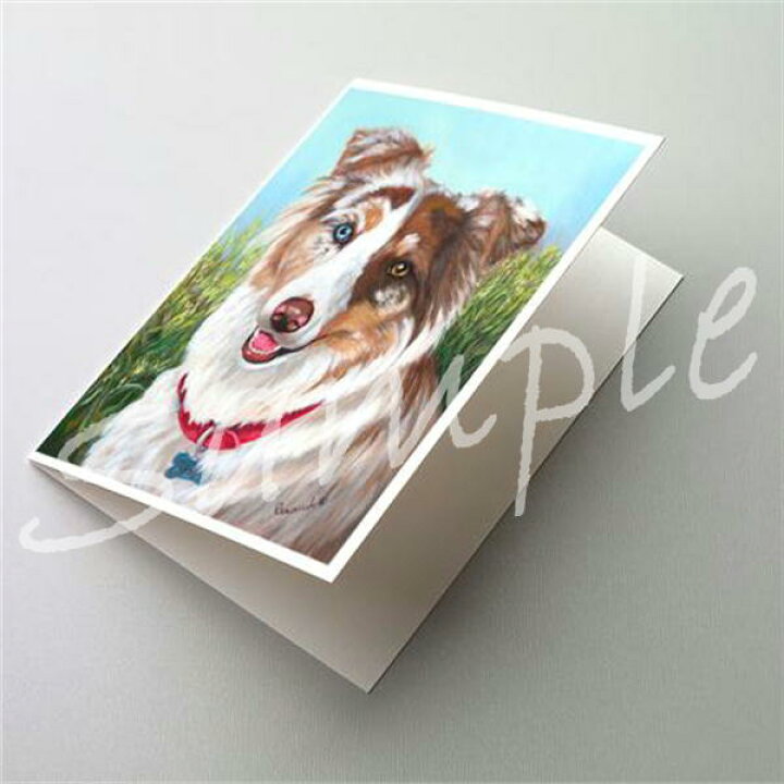 楽天市場 グリーティングカード オーストラリアン シェパード Scarlet 輸入雑貨 犬雑貨 犬グッズ 犬雑貨専門店 銀屋