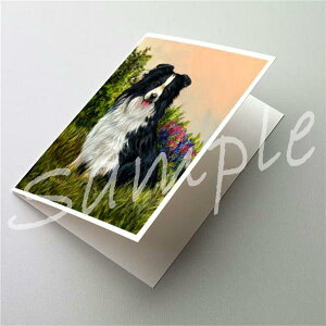 ݌Ɍ@O[eBOJ[hy{[_[ER[@SimplicityzAG݁@G݁@ObY