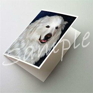 ݌Ɍ@O[eBOJ[hyO[gEsj[Y MeishazAG݁@G݁@ObY