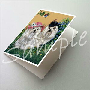 ݌Ɍ@O[eBOJ[hy}`[Y Mr & MrszAG݁@G݁@ObY