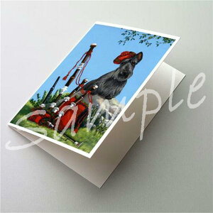 ݌Ɍ@O[eBOJ[hyXReBbVEeA/XRb` PiperzAG݁@G݁@ObY