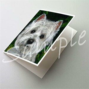 �݌Ɍ���@�O���[�e�B���O�J�[�h�y�E�G�X�g�E�n�C�����h�E�z���C�g�E�e���A/�E�G�X�e�B Baby Face�z�A���G�݁@���G�݁@���O�b�Y