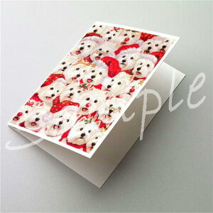 �݌Ɍ���@�N���X�}�X�J�[�h�y�E�G�X�g�E�n�C�����h�E�z���C�g�E�e���A/�E�G�X�e�B Christmas a Plenty�z�A���G�݁@���G�݁@���O�b�Y