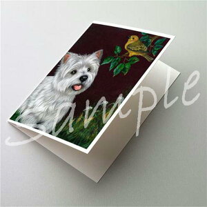 ݌Ɍ@O[eBOJ[hyEGXgEnChEzCgEeA/EGXeB NaturezAG݁@G݁@ObY