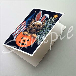 ݌Ɍ@O[eBOJ[hy[NV[EeA/[L[ All SeasonszAG݁@G݁@ObY