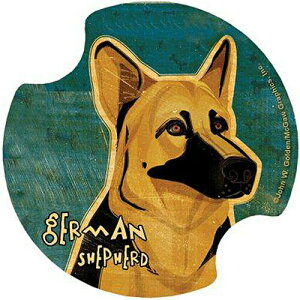 ݌Ɍ@Ԃ̃Jbvz_[R[X^[@CARSTERSE2ZbgyVFp[hzG݁EObYEAG