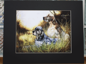 ݌Ɍ@}bgvgyCObVZb^[zAG݁@G݁@ObY