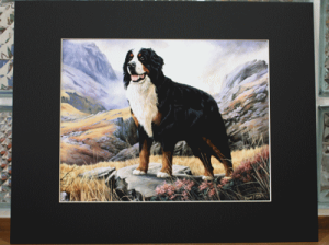 ݌Ɍ@}bgvgyo[j[YE}EehbOzAG݁@G݁@ObY