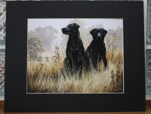 ݌Ɍ@}bgvgyuh[Eg[o[/uNO1zAG݁@G݁@ObY