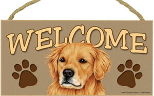 ݌Ɍ@EFJ{[h@yS[fEg[o[zAG݁EG݁EObY