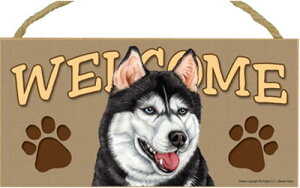 ݌Ɍ@EFJ{[h@yVxAEnXL[zAG݁EG݁EObY