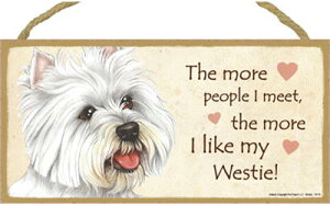 ݌Ɍ@EFJ{[h@yEGXeB5zAG݁EG݁EObY