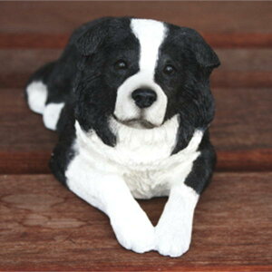 ݌Ɍ@tBMA@hbO@y{[_[R[zAG݁@G݁@ObY