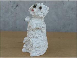 ݌Ɍ@tBMA@hbO@miniTCY@yEGXgnChzCgeA/EGXeBzAG݁@G݁@ObY