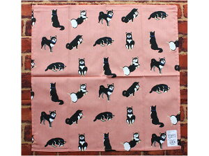 y݌Ɍz`NX@Ȃ@sNyG݁EObYEČEāE΂z