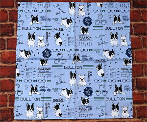 `NX@O[fBug@u[yG݁EObYEČz