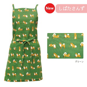 V[gGv@΂񂸁yG݁EObYEČz