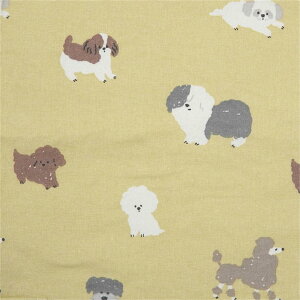 V[gGv@hM[YyG݁EObYEV[Y[EI[hCObVV[vhbOEViEU[ErVt[[Ev[hz