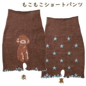 EV[gpc@Ahuv[hyG݁EObYEEhENX}XEaEz