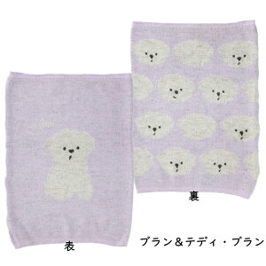 @΂EugEgCv[hyG݁EObYEČEt`uhbOEtuEgCv[hEEhENX}XEaEz