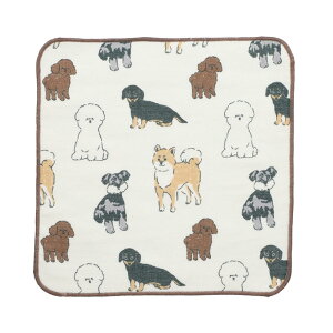 K[[^I@h[COhbOyG݁EObYE_bNXEČEViEU[ErVt[[Ev[hz