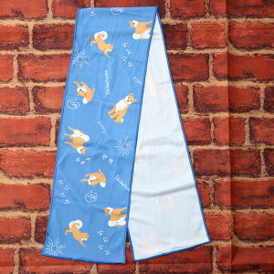 N[^I@h[CO΂yG݁EObYEČz