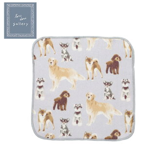 K[[^I@j[hbOyG݁EObYEČES[fgo[EViEU[Ev[hE`z