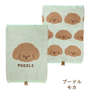 @ViEU[EpOEgCv[hyG݁EObYEEhENX}XEaEz