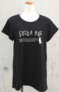 y݌ɌzfB[XTVc(OTCY)@ł΂@ubNyG݁EObYEČz