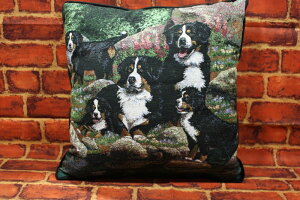 ݌Ɍ@SuD@NbVo[j[YE}EeEhbOAG݁@G݁@ObY