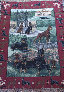 ݌Ɍ@SuD@^yXg[h[x}AG݁@G݁@ObY