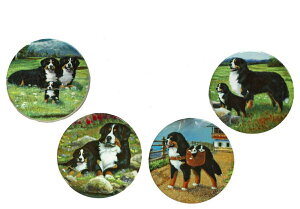 ݌Ɍ@Z~bNR[X^[E4Zbgyo[j[YE}EeEhbOzG݁EObYEAG