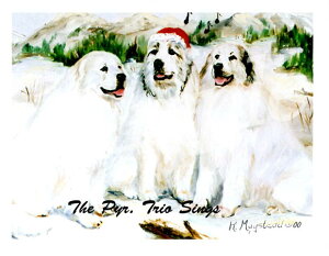 ݌Ɍ@NX}XJ[h RuthyO[gEsj[YzAG݁@G݁@ObY NX}X@NX}XJ[h@Xmas