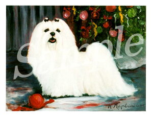 ݌Ɍ@NX}XJ[h Ruthy}`[Y@OwA[zAG݁@G݁@ObY NX}X@NX}XJ[h@Xmas