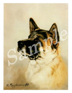 ݌Ɍ@O[eBOJ[h RuthyHc uEzAG݁@G݁@ObY