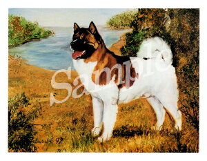 ݌Ɍ@O[eBOJ[h RuthyHc X^fBOzAG݁@G݁@ObY