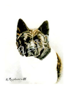 ݌Ɍ@O[eBOJ[h RuthyHc ubNzAG݁@G݁@ObY