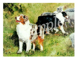 ݌Ɍ@O[eBOJ[h RuthyI[XgAEVFp[h two@No2zAG݁@G݁@ObY